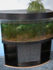 Продам аквариум на 500 литров с тумбой