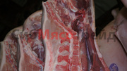 Мясо свинина 1-й,  2-й категории